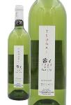 苔オブジェ